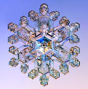 Snowflakes