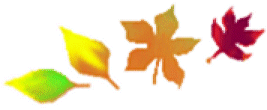 Fall Leaves